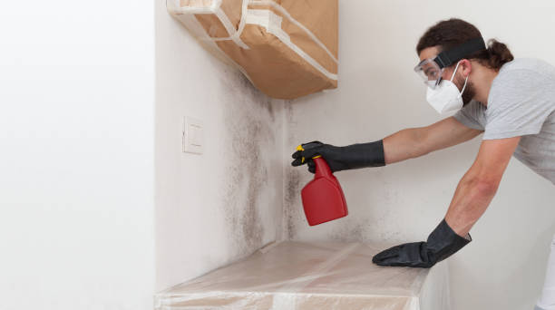 Professional Mold Removal technician working in Burgess, VA