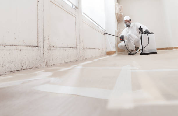 24/7 Emergency Mold Removal experts in Burgess, VA